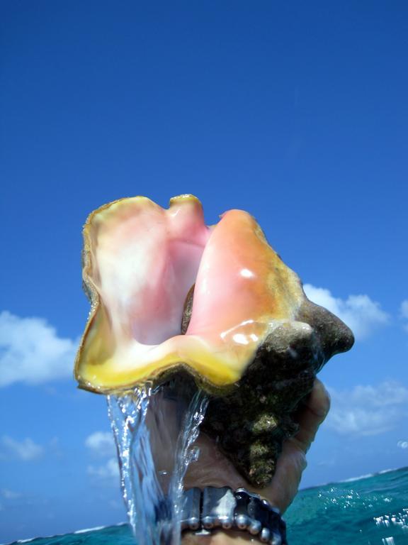 Caye Reef Condos เคย์คอล์กเกอร์ ภายนอก รูปภาพ